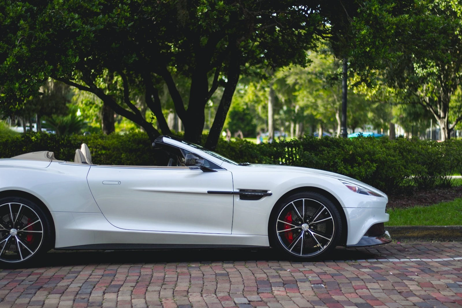 White Aston Martin convertible parked in scenic park setting showcasing luxury exotic car magnificence