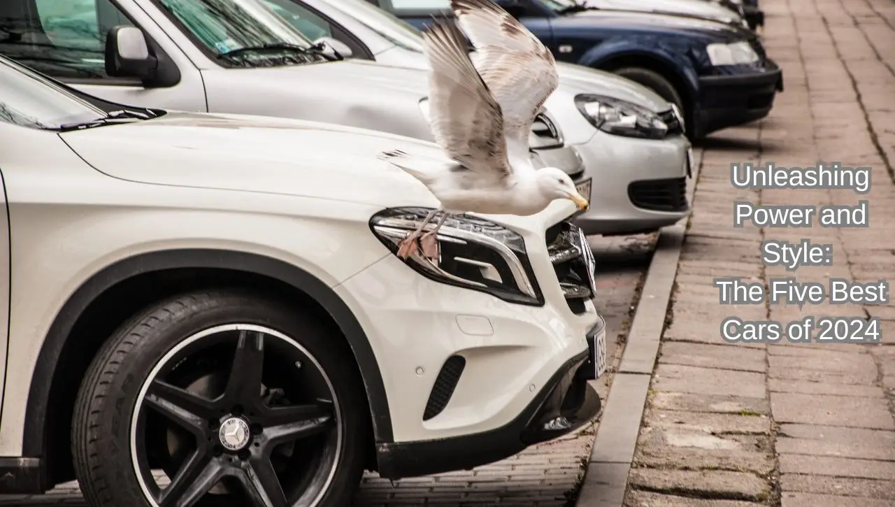 White luxury SUVs showcasing the five best cars of 2024 with powerful styling