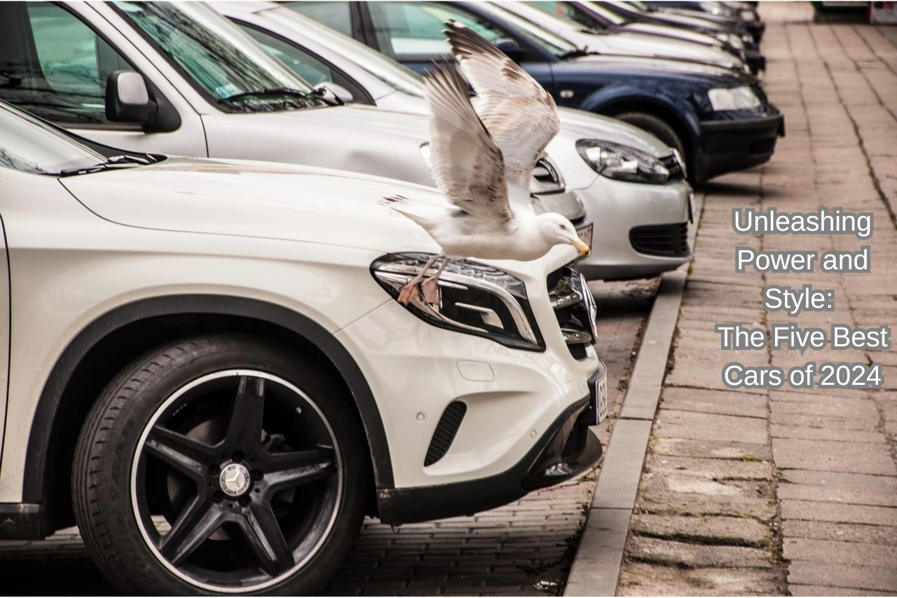 White luxury SUVs showcasing the five best cars of 2024 with powerful styling