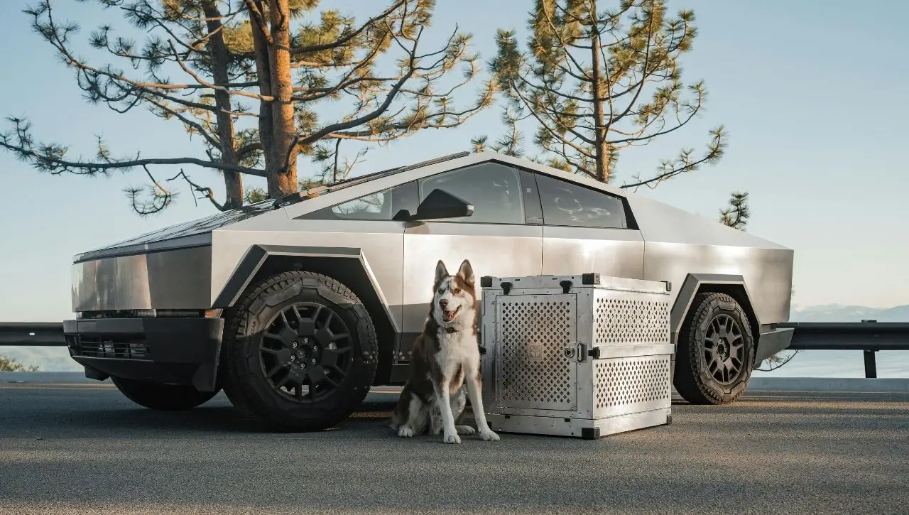 Stainless steel Tesla Cybertruck with dog standing in futuristic metal utility cage, lake and pine trees background